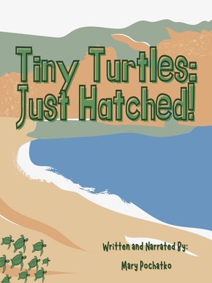 cover image of Tiny Turtles